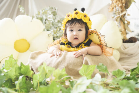 ハチさんに大変身🐝