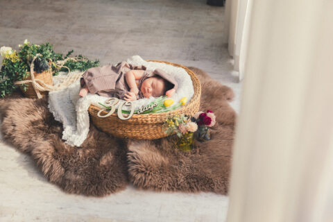 お宮撮影はココロフル広島本店へ🌼