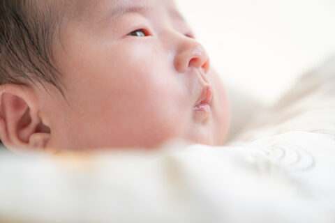 4/6～4/12までの空き状況