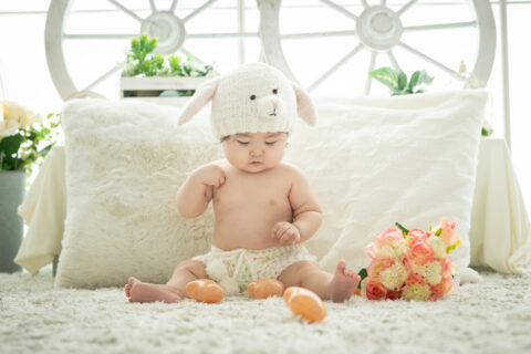 かわいらしい羊ちゃんでしょう☁️🐑　イオンモール出雲店