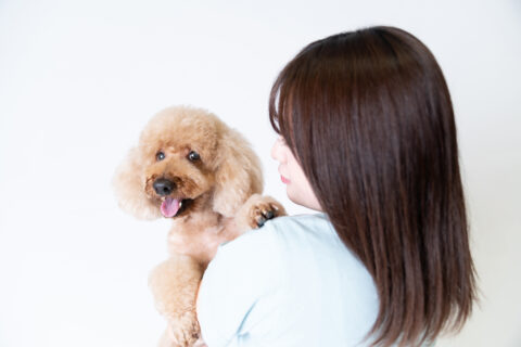 ワンちゃんと🐾